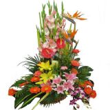 ڴʻٵ