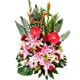 ڴʻٵ